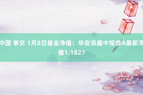 中国 拳交 1月8日基金净值：华安添鑫中短债A最新净值1.1827