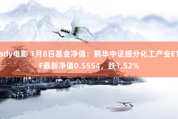 ady电影 1月8日基金净值：鹏华中证细分化工产业ETF最新净值0.5554，跌1.52%
