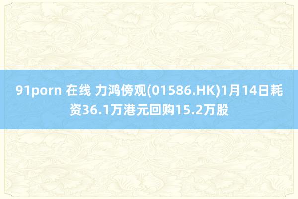 91porn 在线 力鸿傍观(01586.HK)1月14日耗资36.1万港元回购15.2万股