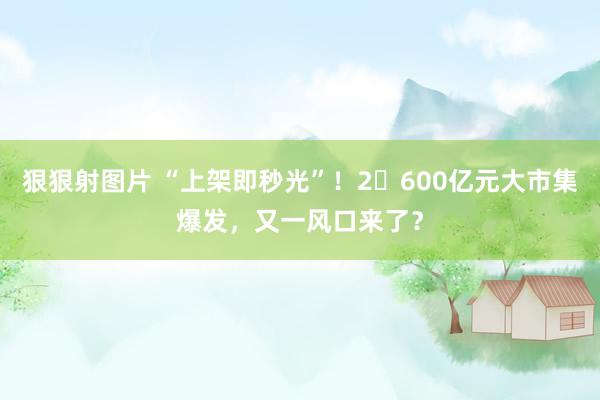 狠狠射图片 “上架即秒光”!2600亿元大市集爆发,又一风口来了?