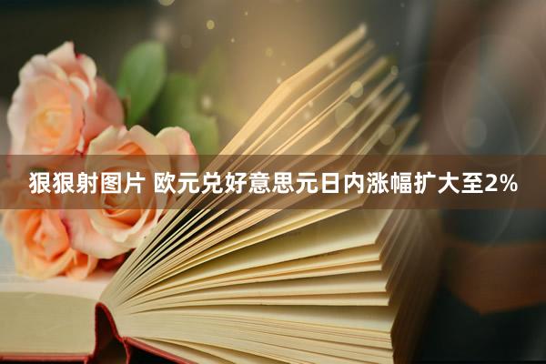 狠狠射图片 欧元兑好意思元日内涨幅扩大至2%