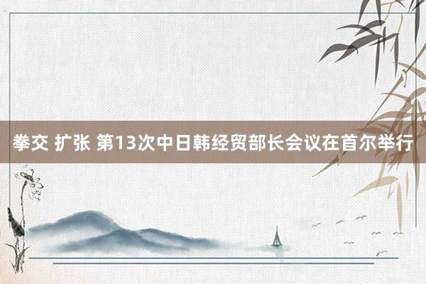 拳交 扩张 第13次中日韩经贸部长会议在首尔举行