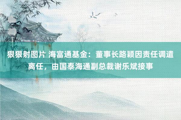 狠狠射图片 海富通基金：董事长路颖因责任调遣离任，由国泰海通副总裁谢乐斌接事