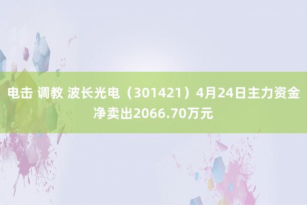 电击 调教 波长光电（301421）4月24日主力资金净卖出2066.70万元