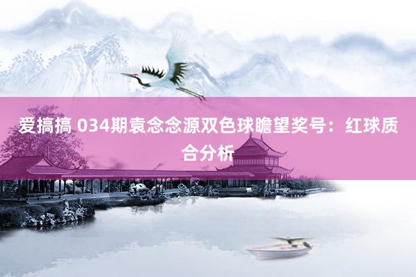 爱搞搞 034期袁念念源双色球瞻望奖号：红球质合分析