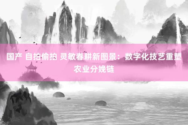 国产 自拍偷拍 灵敏春耕新图景：数字化技艺重塑农业分娩链